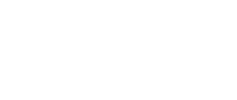 Animateur Saint-Fons